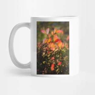 Small tree leaves in the forest with autumn colors Mug